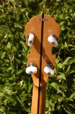 Gold Star G12W Banjo