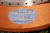 Gold Star G12W Banjo